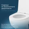 Унитаз-компакт Am.Pm Sunny C85C8600SC FlashClean, с сиденьем микролифт фото 15