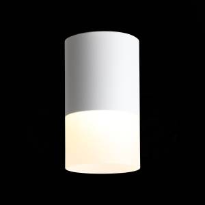 Светильник потолочный St Luce ST100.502.10