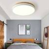 Потолочный светодиодный светильник Imperium Loft Disc 189892-26 фото 5