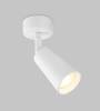 Спот IMEX Dals GU10 IL.0005.4901-WH фото 2