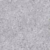 Керамогранит Kerama Marazzi Терраццо SG632620R серый обрезной 60x60 фото 2