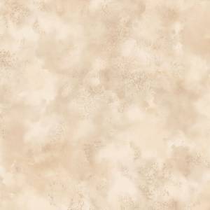 Обои бумажные Aura Texture Style TX34834