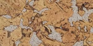 Пробковое покрытие EasyCork Кориа бланко 600x300x3