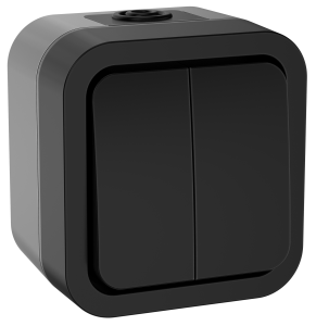 Выключатель 2-клавишный IEK Tors TS-V20-0-10-55-K53 графит