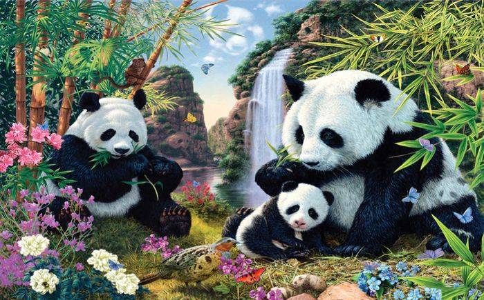 3D Фотообои Artegrafico «Семейство панд» DET-038 песок