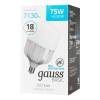 Лампа светодиодная сверхмощная Gauss E40 75W 6500К матовая 11734382 фото 2