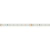 Светодиодная лента Arlight 6W/m 80LED/m 2835SMD дневной белый 50M 024524(2) фото 3