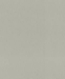 Обои Rasch Amara 720167
