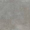 Керамогранит Cercom Temper 1068323 Argent Ret 60x60