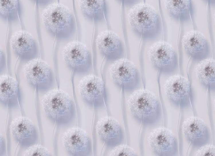 3D Фотообои Artegrafico «Стена с объемными одуванчиками» VL-012 канвас