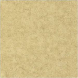 Обои Caselio Beton 101487893
