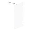 Душевая перегородка Am.Pm X-Joy W94WI-110-F1-MTE 110x195, стекло прозрачное 6 мм, профиль хром матовый