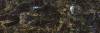 Керамогранит Adicon Slab Labradorite High Glossy 80x240x15 фото 2