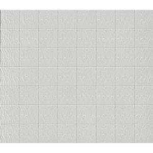 Керамогранит Ragno Sol R9RD Struttura Foglia Bianco 3D 15x15