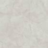 Керамогранит Primavera CR123 Vanity Bianco Carving 60x60 фото 3
