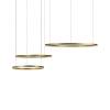 Подвесной светодиодный светильник Loft IT Ring 10017/3S фото 4