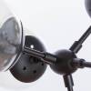 Подвесная люстра Arte Lamp A1664SP-12BK фото 2
