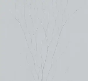 Обои флизелиновые Marburg Crush Motion 63425