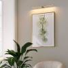 Подсветка для картин светодиодная Elektrostandard Luar 40125/LED 3000K латунь фото 2