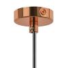 Подвесной светильник Lightstar Loft 765013 фото 3