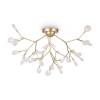 Люстра Freya Florencia FR5049CL-36G