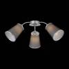 Потолочная люстра Evoluce Maleonte SLE103002-03 фото 2