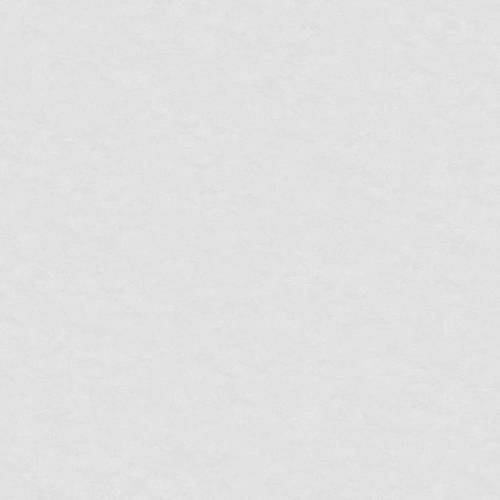 Обои Erismann Spectral Color 60635-06