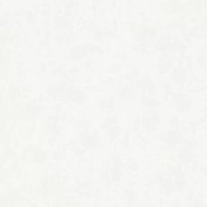 Обои Cassanie Simply SP101