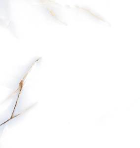 Керамогранит A-Ceramica Barselona Polished 60x60