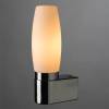 Подсветка для зеркал Arte Lamp Aqua A1209AP-1CC фото 2