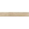 Керамогранит Cerdomus Antique 0073000 Oak Ret. 120x20