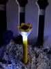 Светильник на солнечных батареях Uniel Promo USL-C-419/PT305 Yellow Crocus 10625 фото 6