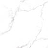 Керамогранит Arcadia Ceramica Statuario RT6015-A Fine Matt Rustic 60x60 фото 2