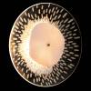 Бра Crystal Lux Contessa AP2.1