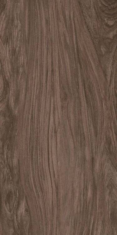 Керамогранит Kerama Marazzi Walnut SG090000R 160x320