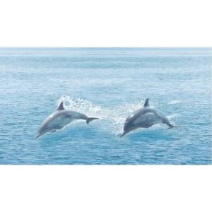 Декор Ceradim Regata КВС16Ocean Dec Ocean 25x45