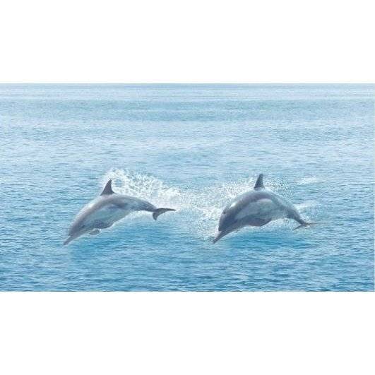 Декор Ceradim Regata КВС16Ocean Dec Ocean 25x45