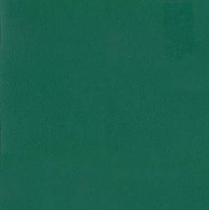 Линолеум Tarkett Omnisports Speed (Омниспортс Спид) Forest Green (Форест Зеленый) (рулон: 2x20.5=41 м2)