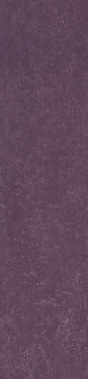 Керамогранит Simpolo Spectra Scs Wine 5.8х25