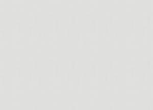 Обои Marburg Bloom 36356