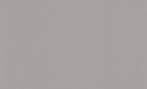 Обои флизелиновые HomeColor Monochrome HC71822-28