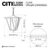 Уличный светильник Citilux Forts CLU09S фото 10