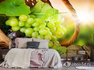 Design Studio 3D Фрукты и ягоды