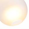 Подвесной светильник ST Luce Bopone SL1133.523.01 фото 3