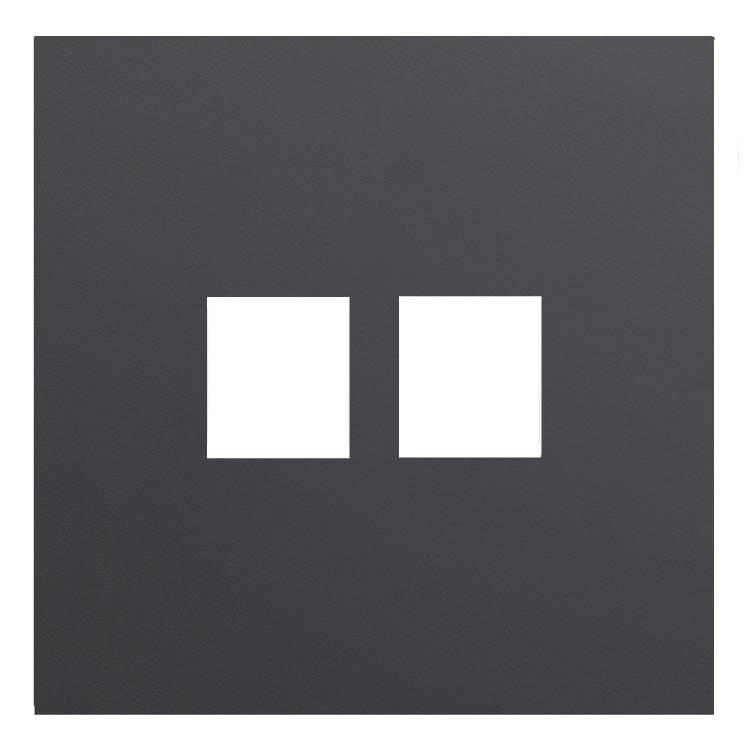 Лицевая панель для двойной информационной розетки Rikett 35442 MB черный сатин