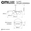 Люстра на штанге Citilux Fisher CL218163 фото 13