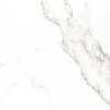 Керамогранит Gracia Ceramica Carrara 010400000635 Premium White Белый PG 01 60x60
