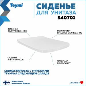 Сиденье для унитаза Teymi S40701 быстросъемное, с микролифтом