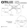 Потолочная люстра Citilux Glob CL209261 фото 13
