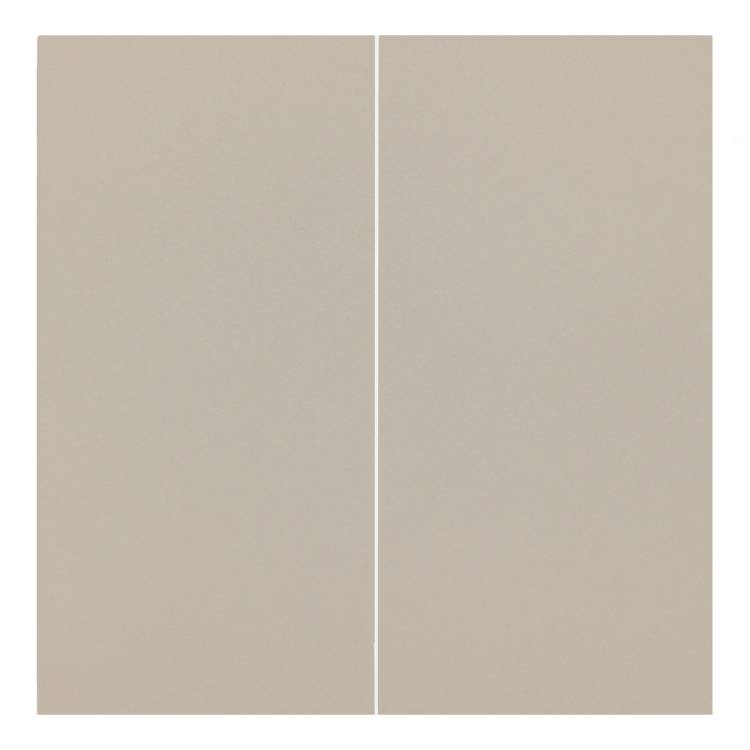 Клавиши для двухклавишного перекрестного выключателя Rikett 35614 LT латте